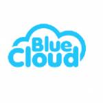 bluecloud