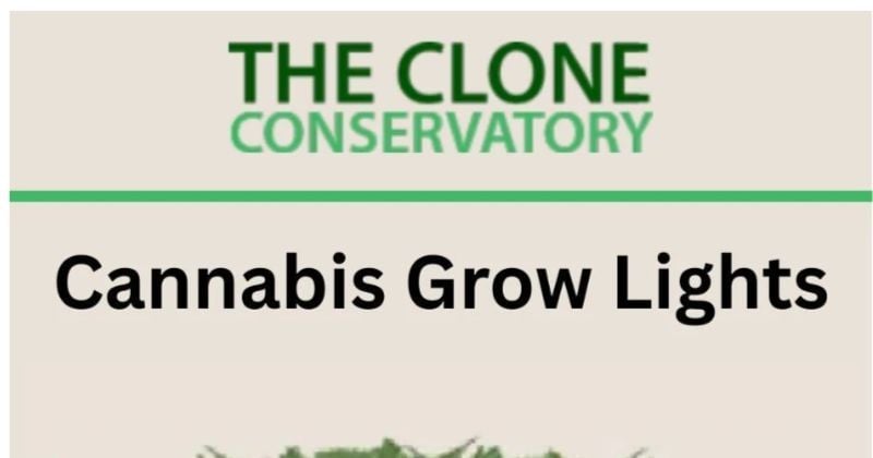 Cannabis Grow Lights