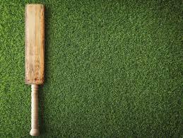 OSMS Turf — Artificial Cricket Pitch: The Modern Choice for...