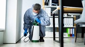 Residential Pest Control Hamilton | Safe & Reliable Pest Removal