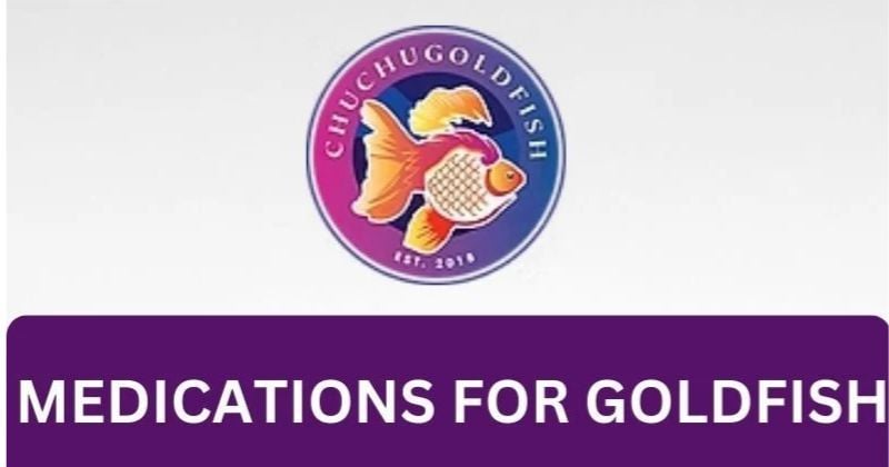 Medications for Goldfish