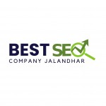 Best SEO Company Jalandhar