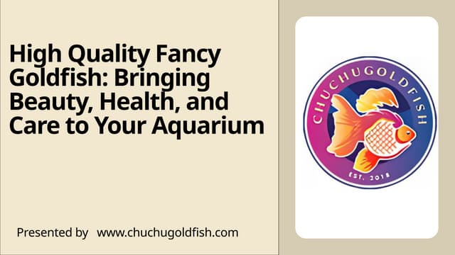 High Quality Fancy Goldfish Bringing Beauty, Health, and Care to Your Aquarium | PPTX