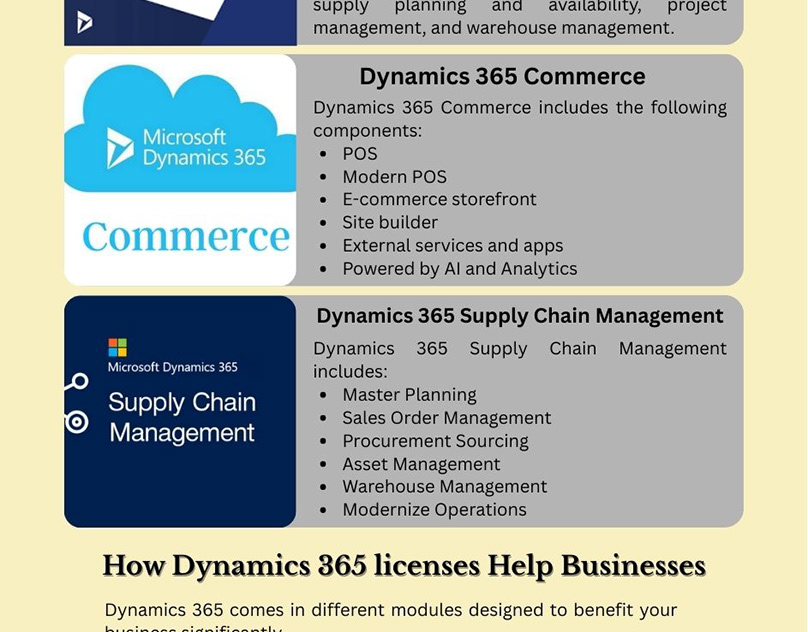 Dynamics 365 Partner