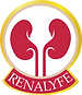 Best Home Dialysis in Bangalore - Renalyfe