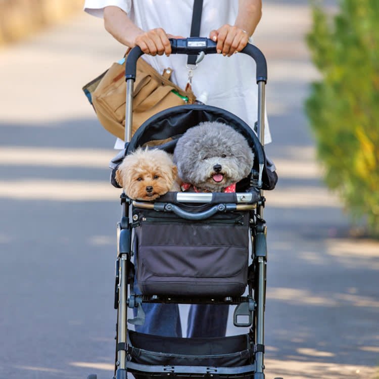 How to Train Your Dog to Feel Comfortable in a Pushchair - Ezine Articles | Submit Articles | Article Directories