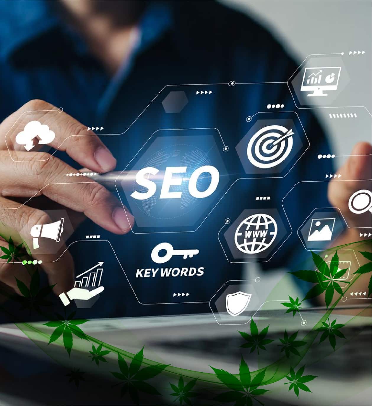 Cannabis SEO Services Built for Long-Term Organic Growth