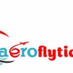 Aerofly Tickets