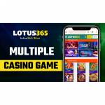 Lotus365 App