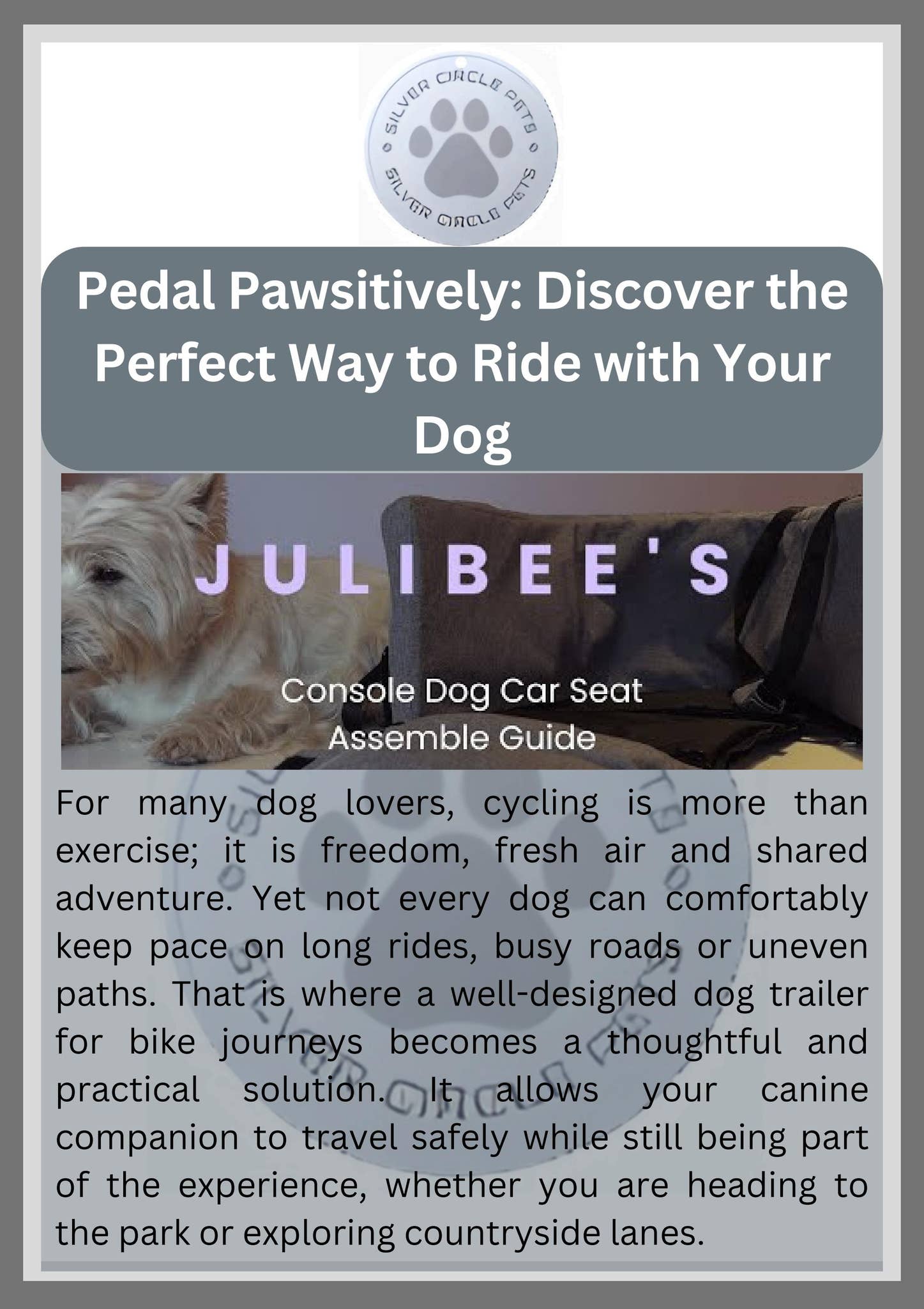 Pedal Pawsitively Discover the Perfect Way to Ride with Your Dog by silver circlepets - Issuu