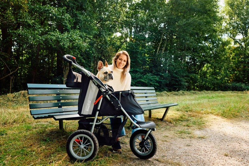 Silver Circle Pets: UK Pet Events & Meetups: Where to Take Your Dog in 2026