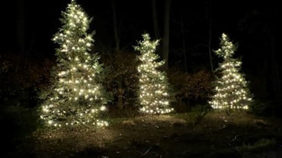 Types of Christmas Decorations: Read this Guide to Know More