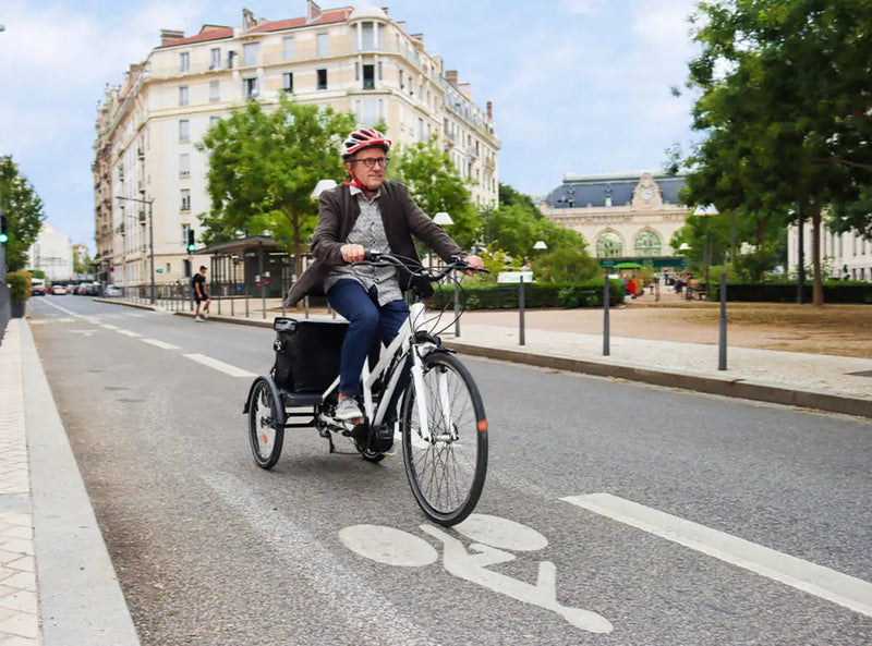 Urban Dog Living in the UK: Smarter Ways to Travel with Your Dog – Animal Stroller