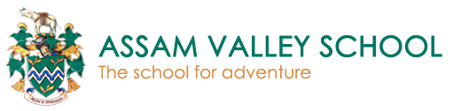 Events, Values & Excellence at a Premier Boarding School in India: AVS