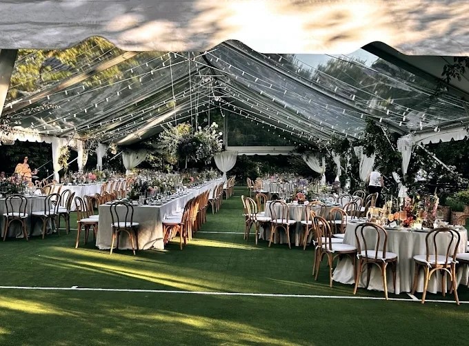 5 Must-Have Party Rentals to Upgrade Any Celebration