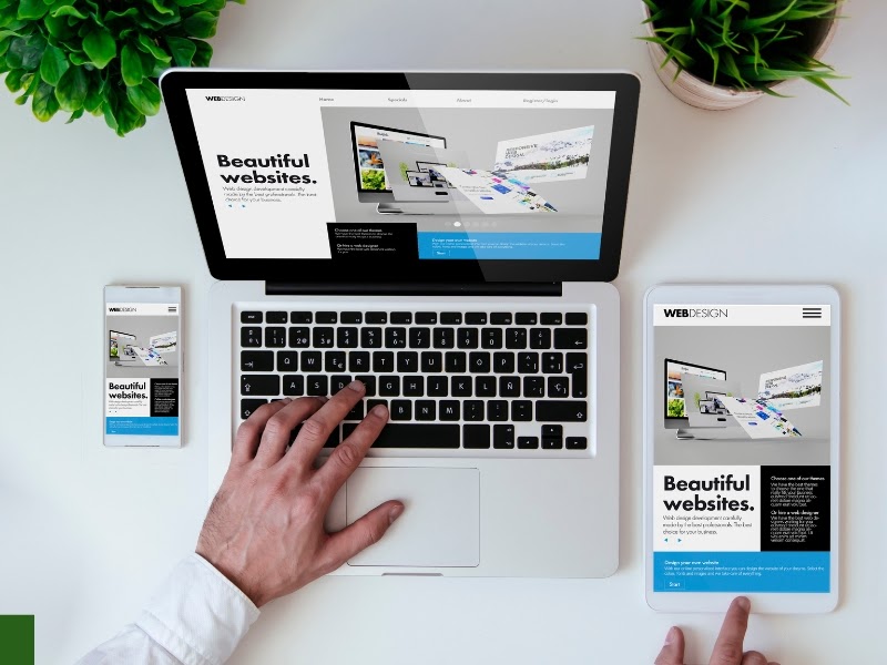 Web Design Market in Gainesville Turns Hot with Tech Innovations and Visual Aesthetics