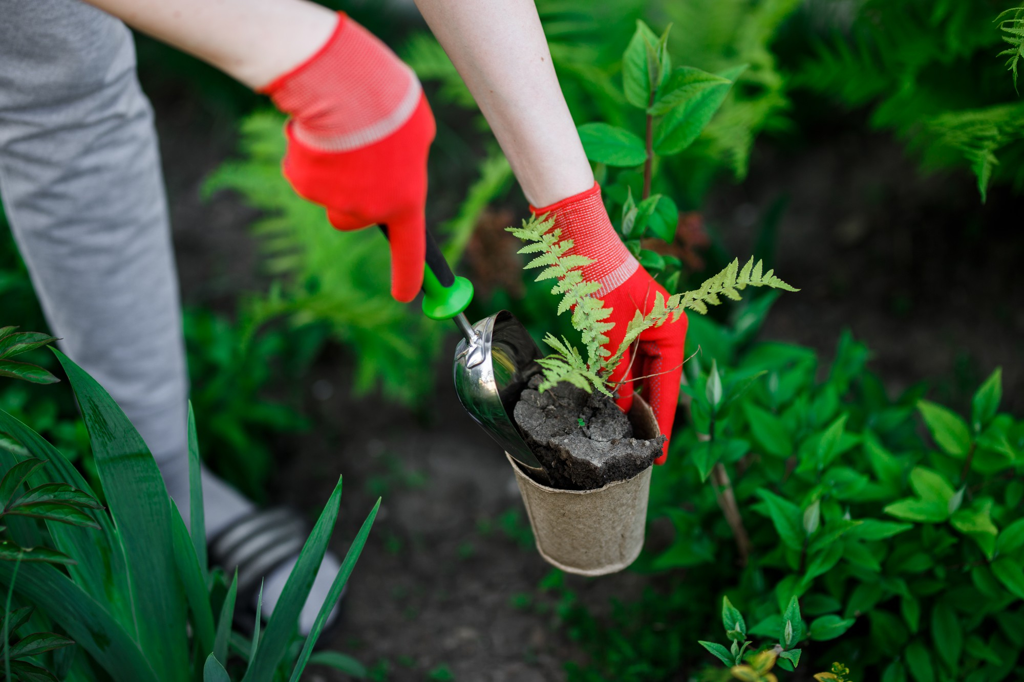 Professional Planting Services in Milton Keynes | FREE QUOTE